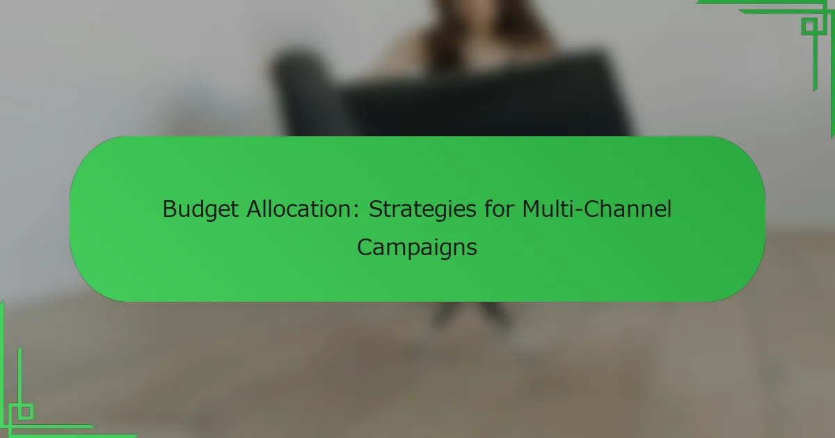 Biudžeto Paskirstymas: Strategijos Daugikanaliams Kampanijoms