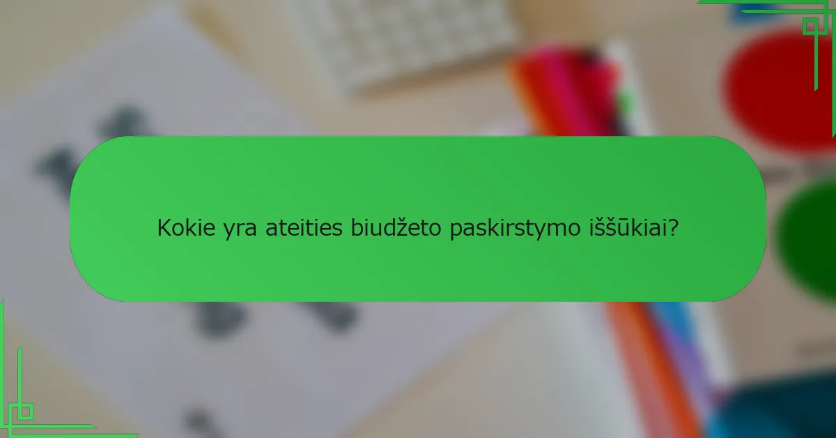 Kokie yra ateities biudžeto paskirstymo iššūkiai?