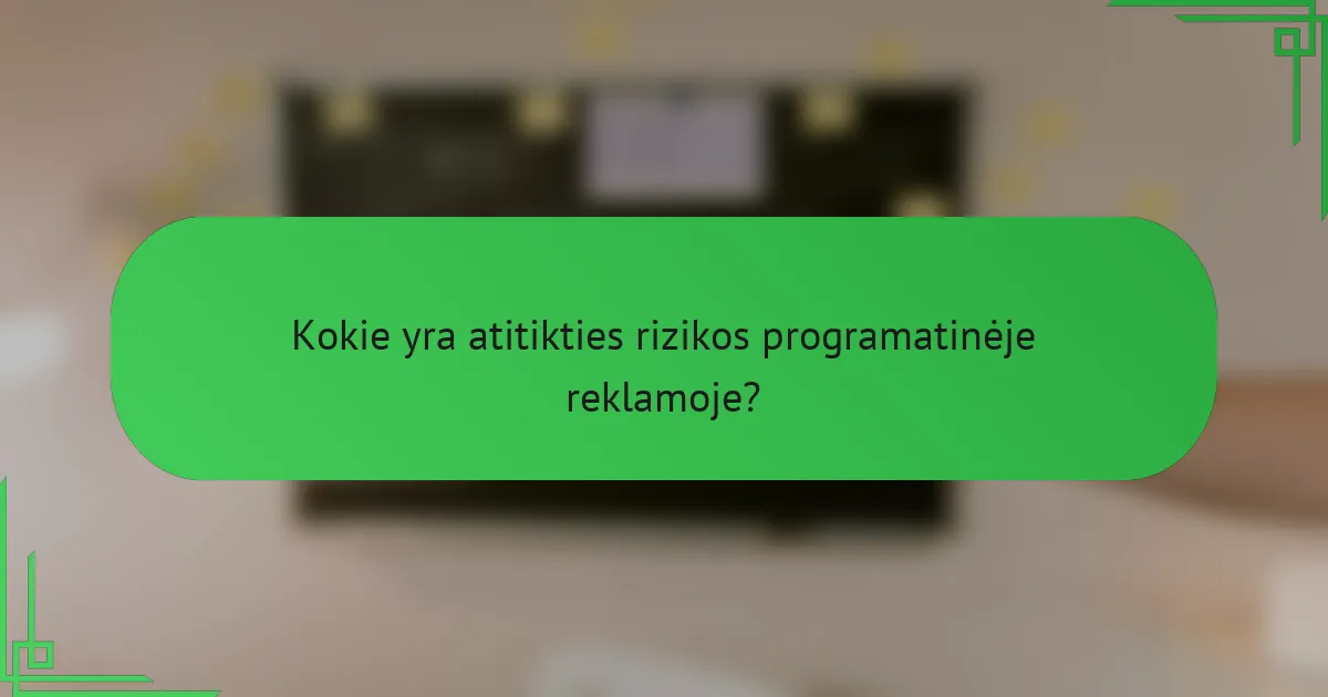 Kokie yra atitikties rizikos programatinėje reklamoje?