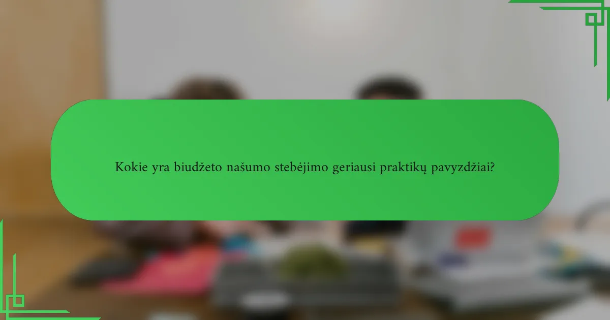 Kokie yra biudžeto našumo stebėjimo geriausi praktikų pavyzdžiai?