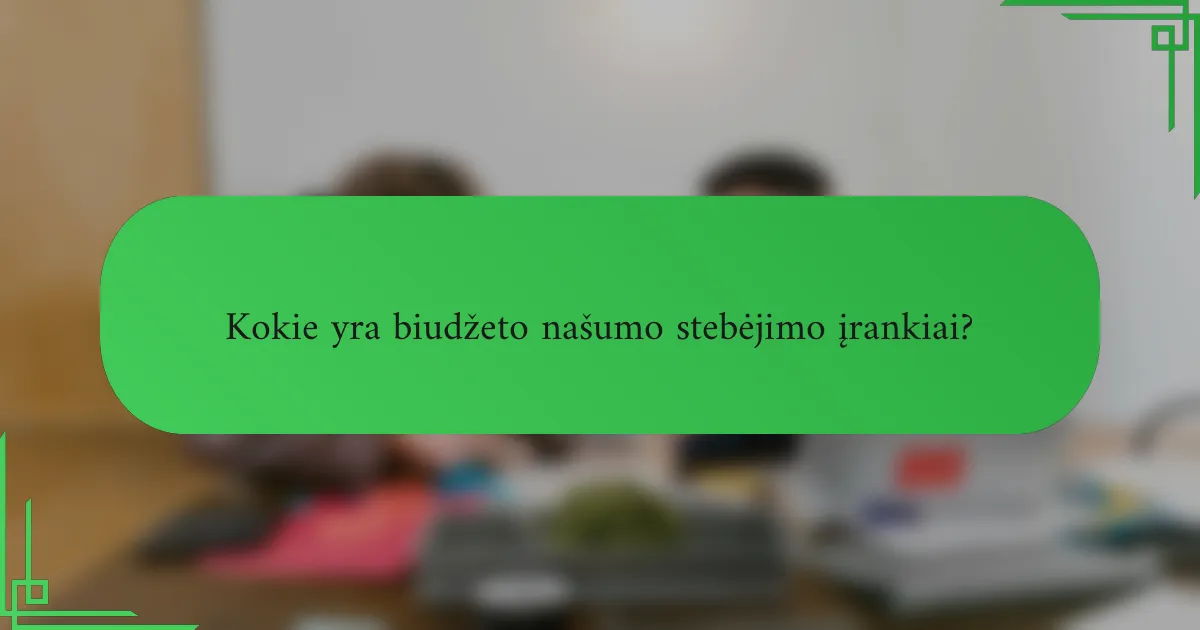 Kokie yra biudžeto našumo stebėjimo įrankiai?