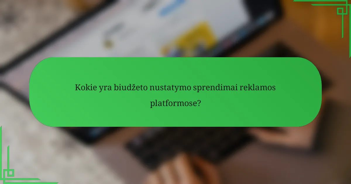 Kokie yra biudžeto nustatymo sprendimai reklamos platformose?