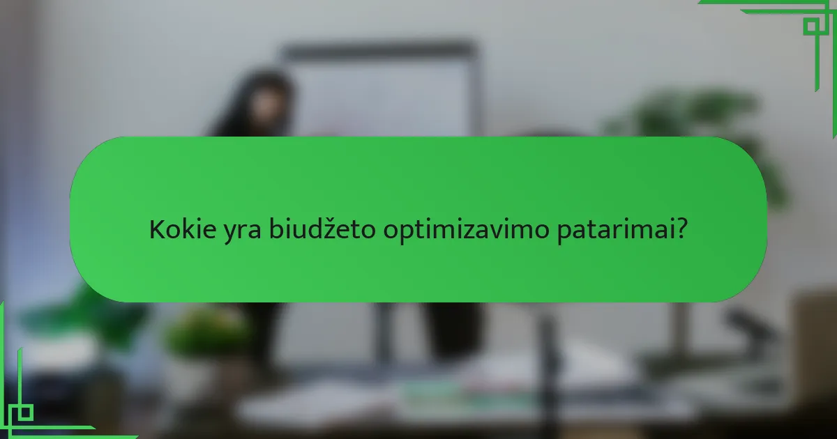 Kokie yra biudžeto optimizavimo patarimai?
