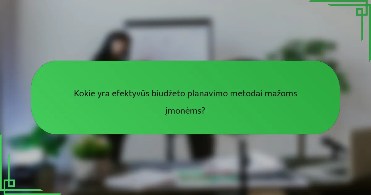 Kokie yra efektyvūs biudžeto planavimo metodai mažoms įmonėms?