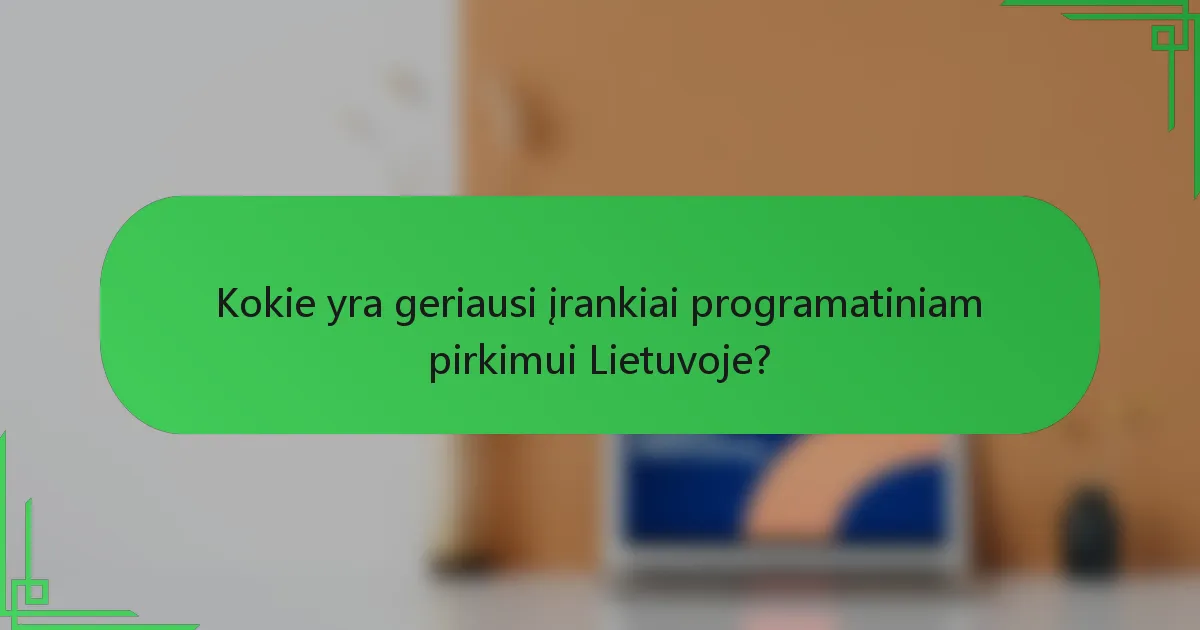 Kokie yra geriausi įrankiai programatiniam pirkimui Lietuvoje?