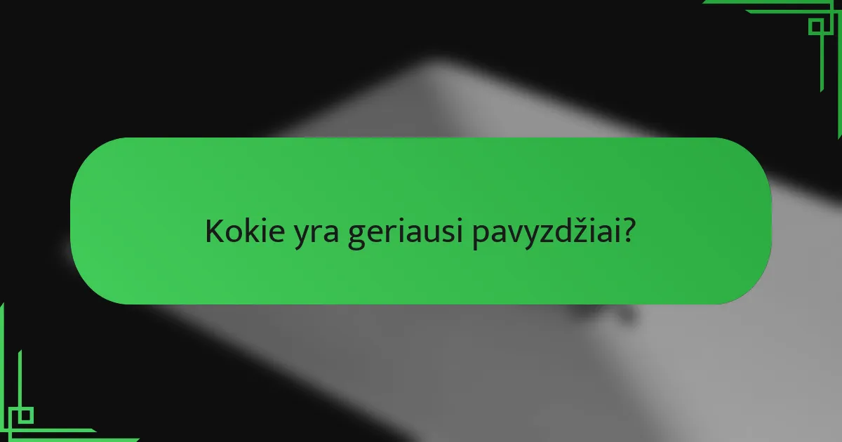 Kokie yra geriausi pavyzdžiai?