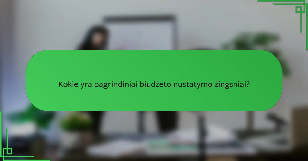 Kokie yra pagrindiniai biudžeto nustatymo žingsniai?