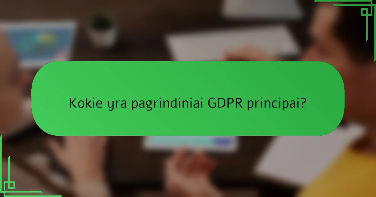 Kokie yra pagrindiniai GDPR principai?