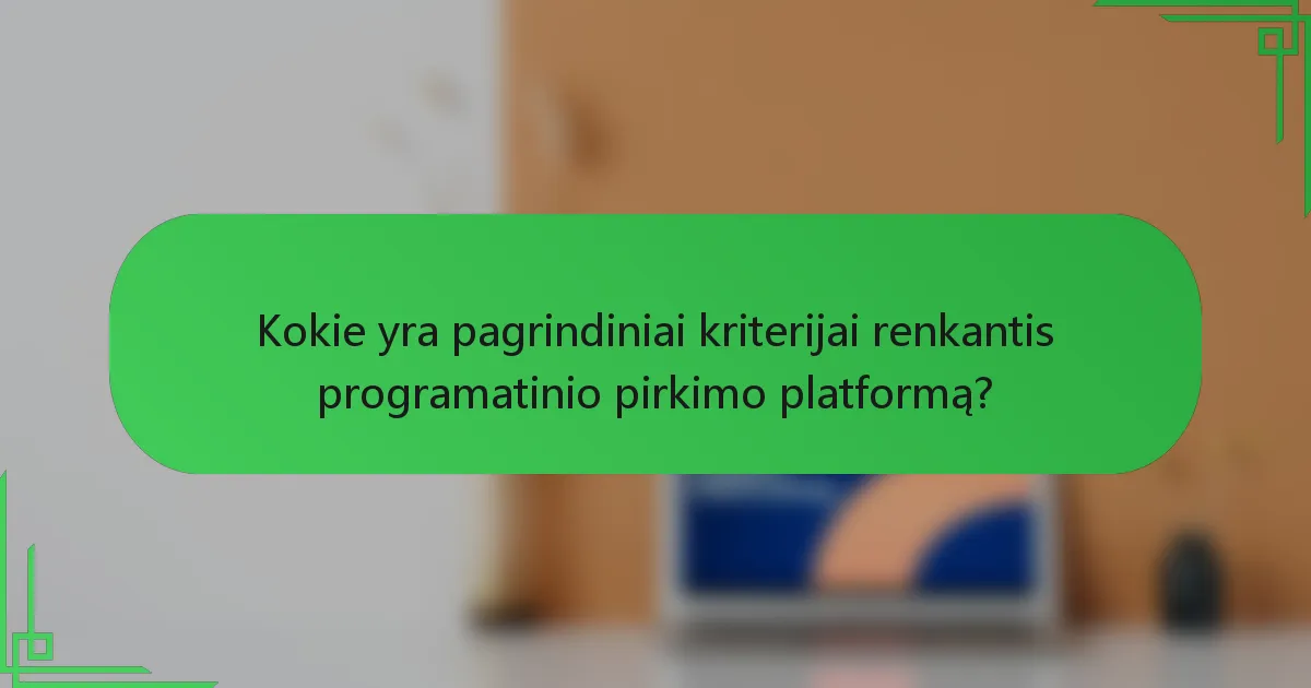 Kokie yra pagrindiniai kriterijai renkantis programatinio pirkimo platformą?