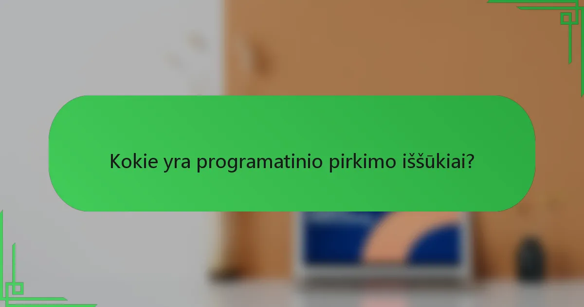 Kokie yra programatinio pirkimo iššūkiai?