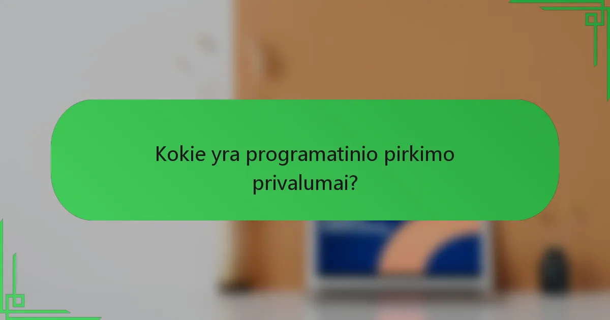 Kokie yra programatinio pirkimo privalumai?