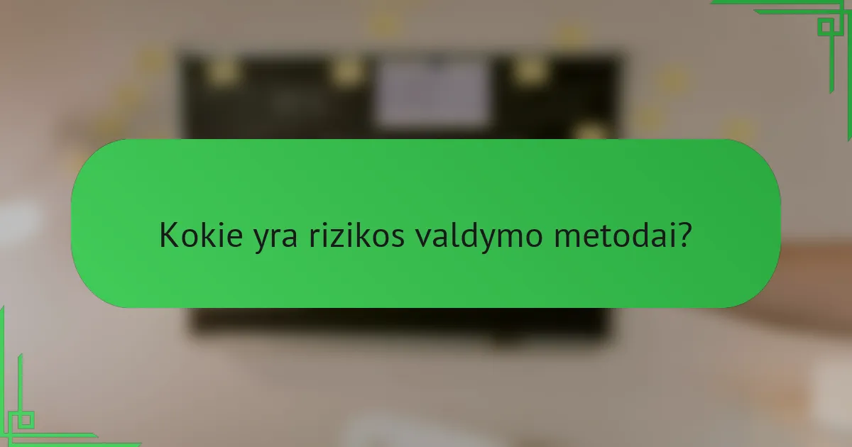 Kokie yra rizikos valdymo metodai?